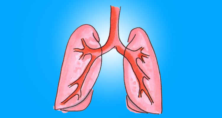 Tuberkulose und Atemwege