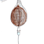 Kokosnussinfusion; Heike C. Ewert