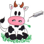 Vaccinia, Heike C. Ewert